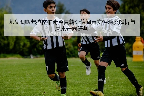 尤文图斯弗拉霍维奇今夏转会传闻真实性深度解析与未来走向研判